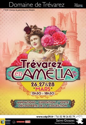Trévarez en camélia