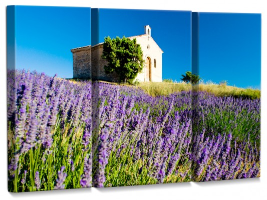 photo-sur-toile-