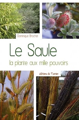 Le Saule la plante aux mille pouvoirs