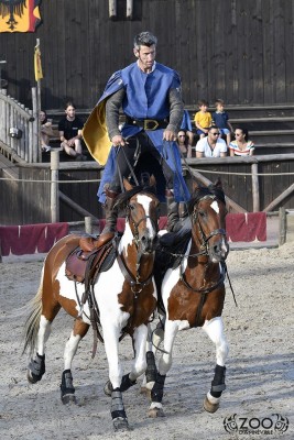 zoo d amneville 3