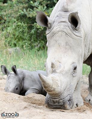 zoo d amneville 4