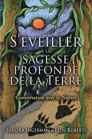 seveiller-a-la-sagesse-profonde-de-la-terre
