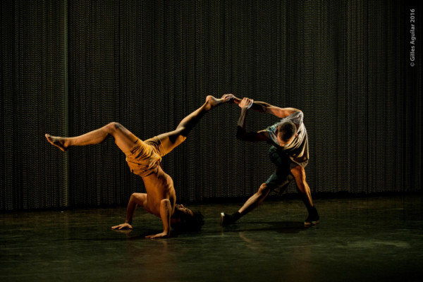 pokemon-crew pokemon-crew-2017