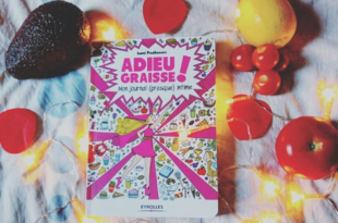 adieu-graisse-journal-intime-lumi-poullaouec
