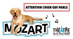 mozart-le-chien