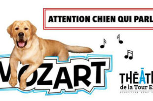mozart-le-chien