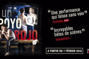 Un-Poyo-Rojo-paris