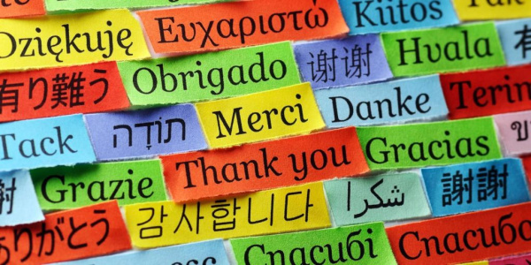 traduction