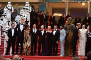 Festival de Cannes Solo