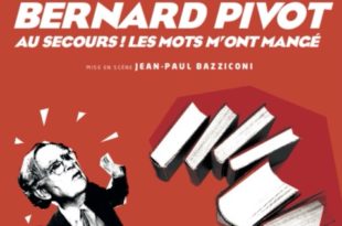 au-secours-les-mots-pivot-slider