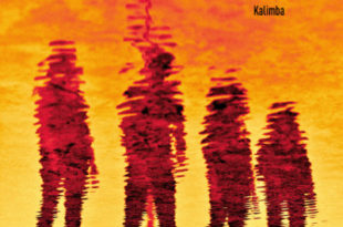 Animeitid-Kalimba