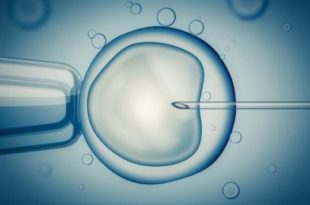 PMA , Procreation