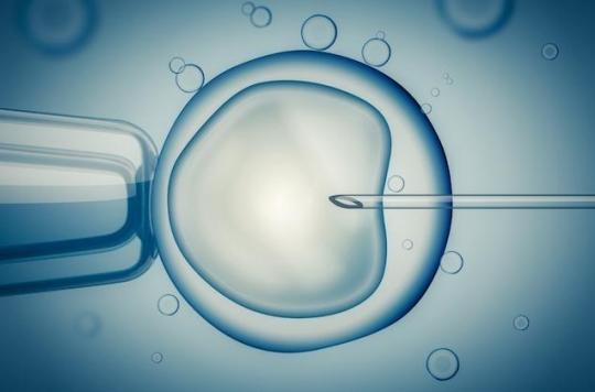 PMA , Procreation