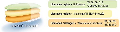 composition-bion3-energie-continue composition-bion3-energie-continue