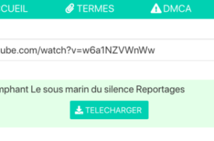 Convertisseur Youtube
