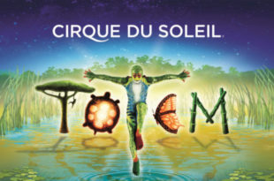 cirque-du-soleil-totem-paris