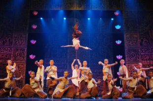 cirque-phenix-2018