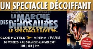 marche-des-dinosaures-slider