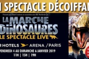 marche-des-dinosaures-slider