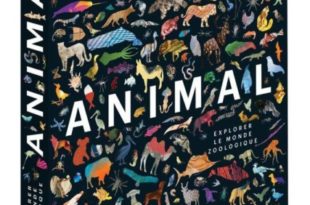 Animal, Explorer le monde zoologique -