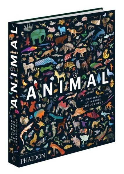 Animal, Explorer le monde zoologique -