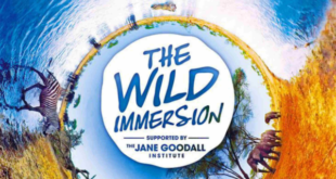 the-wild-immersion-realité-virtuelle-VR