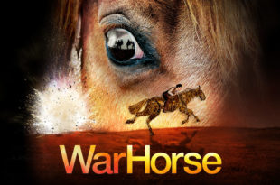 war-horse-cheval-de-guerre-slider