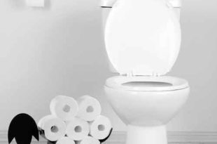 papier WC