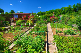 potager et jardins