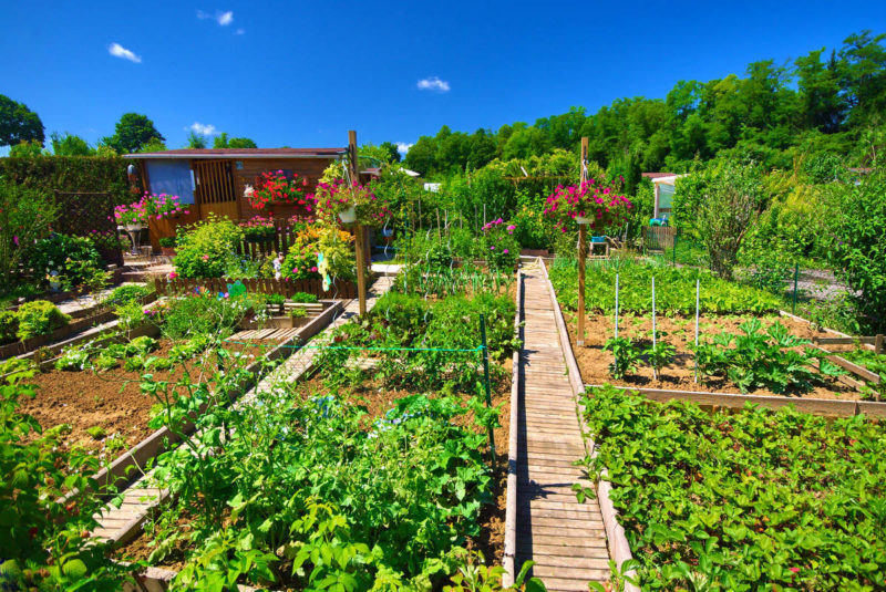 potager et jardins