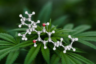 THC