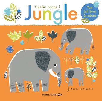cache-cache-jungle-flammarion cache-cache-jungle-flammarion