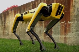 Les chiens-robots de Boston Dynamics