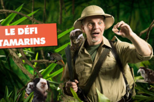 Fête des Pères à Terre de Singes