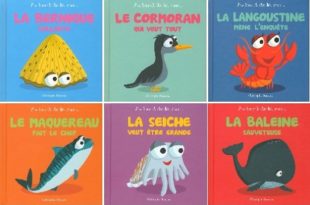 collection-au-bord-de-la-mer-beluga