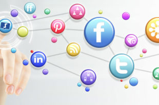 visibilite web SEO