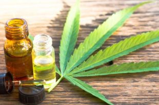 CBD Oil Justbob