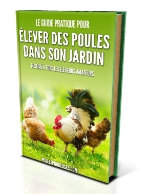ebook le-guide-pratique-pour-elever-des-poules-dans-son-jardin