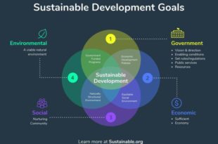 astuces-pratiques-pour-résumer-les-données-pour-vos-présentations-1