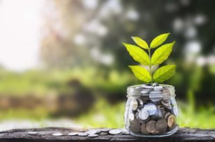 indépendance financière