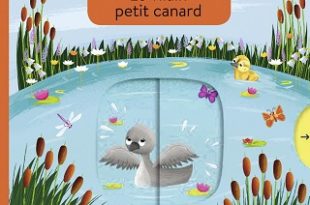 le-vilain-petit-canard-mes-premiers-contes-animes-milan
