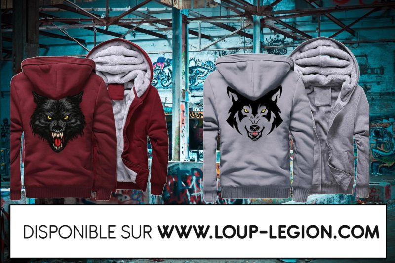 Loup-Légion_article