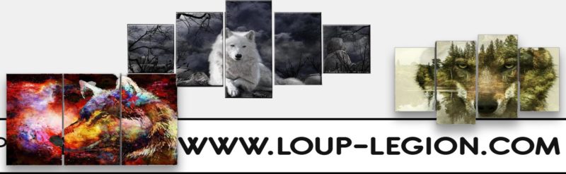 Tableaux LOUP
