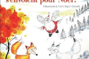 les-p-tits-renards-s-envolent-pour-noel-beluga