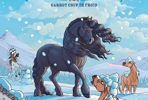 a-cheval-t6-garrot-coup-de-froid-delcourt