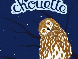 une-vie-de-chouette-ricochet