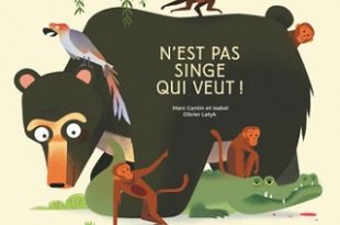 nest-pas-singe-qui-veut-flammarion