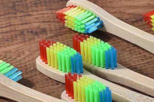 Brosse a dents en Bambou