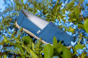 TOMS