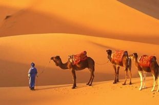 mauritanie